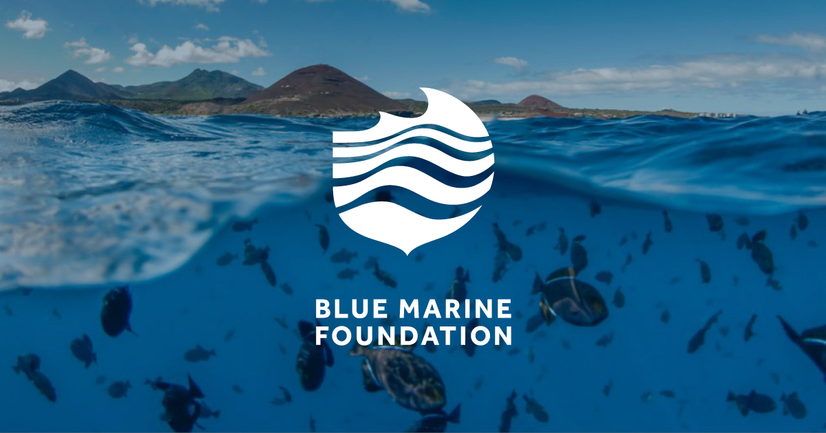 Blue Marine Foundation  Marine Conservation Charity