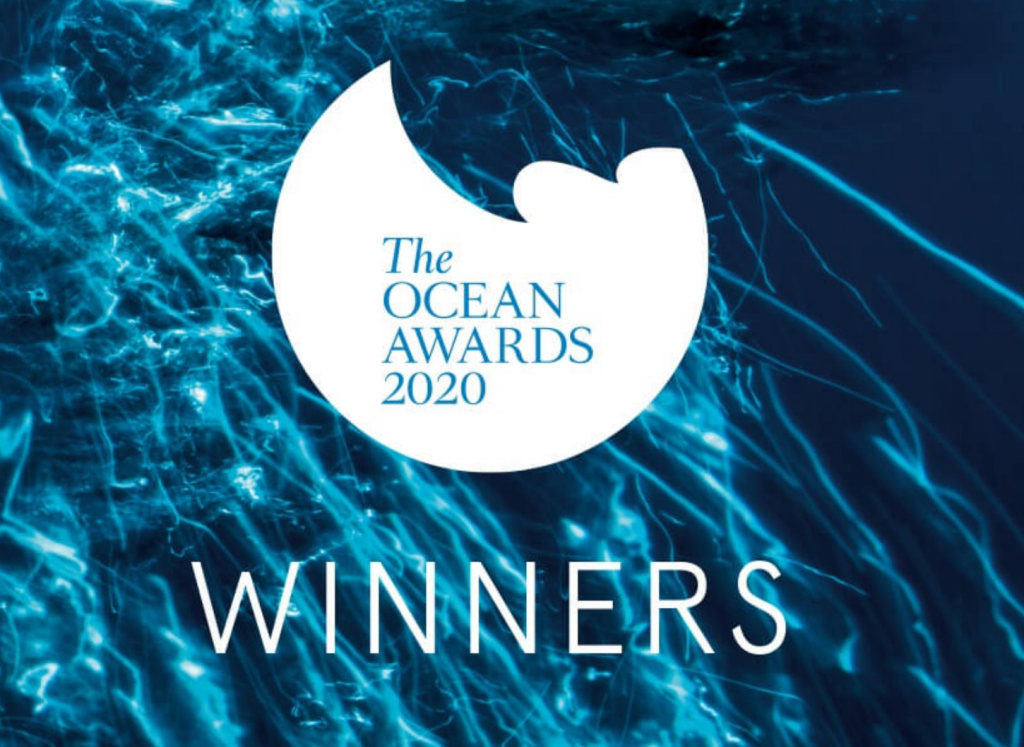 Ocean Awards 2020 Winners Blue Marine Foundation