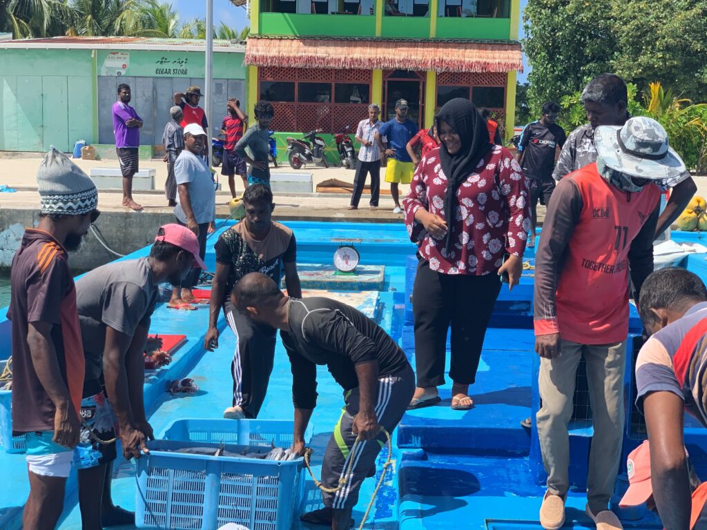 Females working in marine conservation