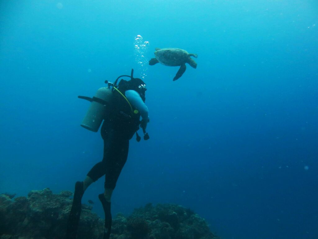 Female scuba diving in Maldives