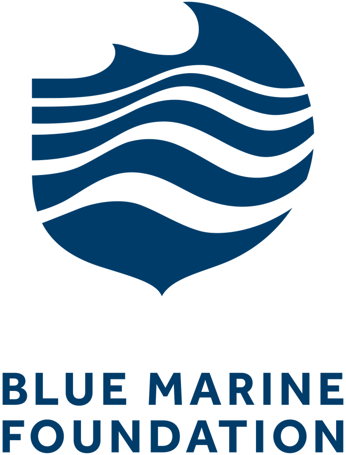 Blue Marine Foundation | Homepage