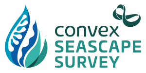 Convex Seascape Survey Logo