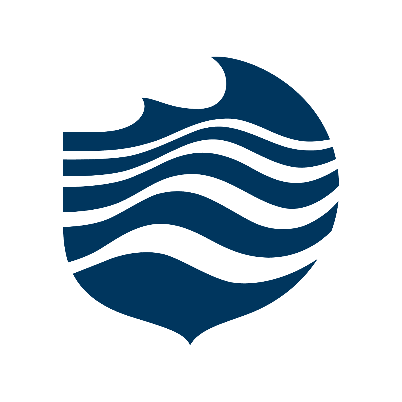 Blue Marine Foundation