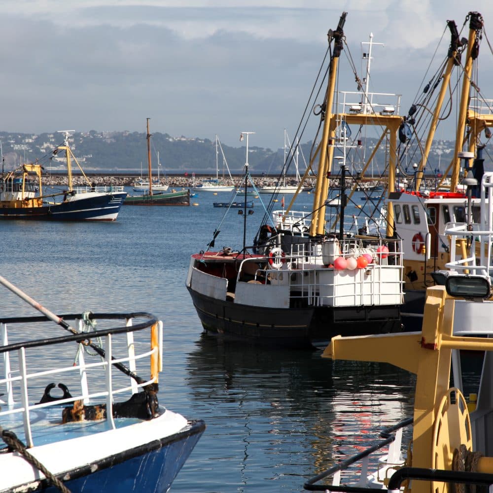 EU Court upholds protection from bottom trawling
