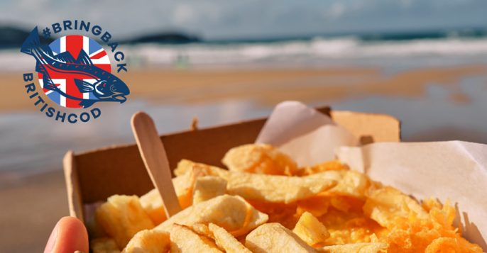 Bring Back British Cod | Blue Marine Foundation