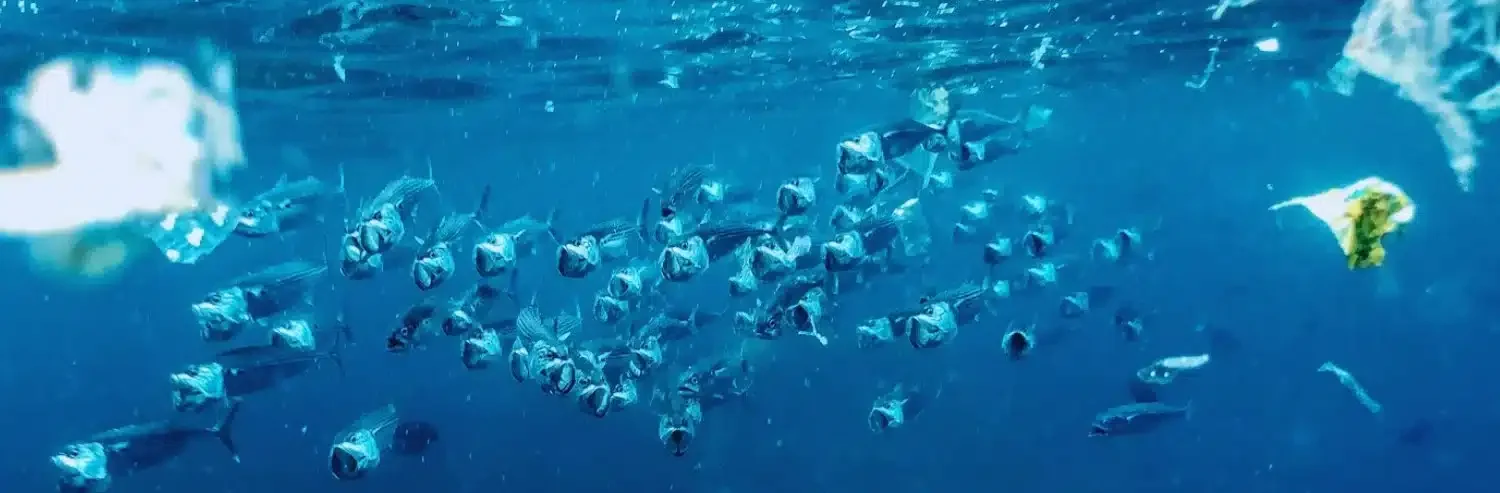 A school of fish swims through clear blue water, with plastic waste and debris floating nearby, highlighting ocean pollution.