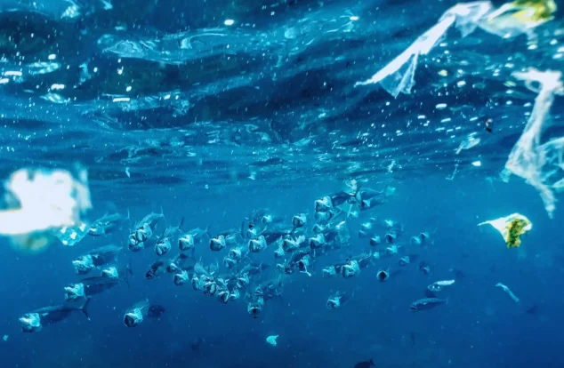A school of fish swims through clear blue water, with plastic waste and debris floating nearby, highlighting ocean pollution.
