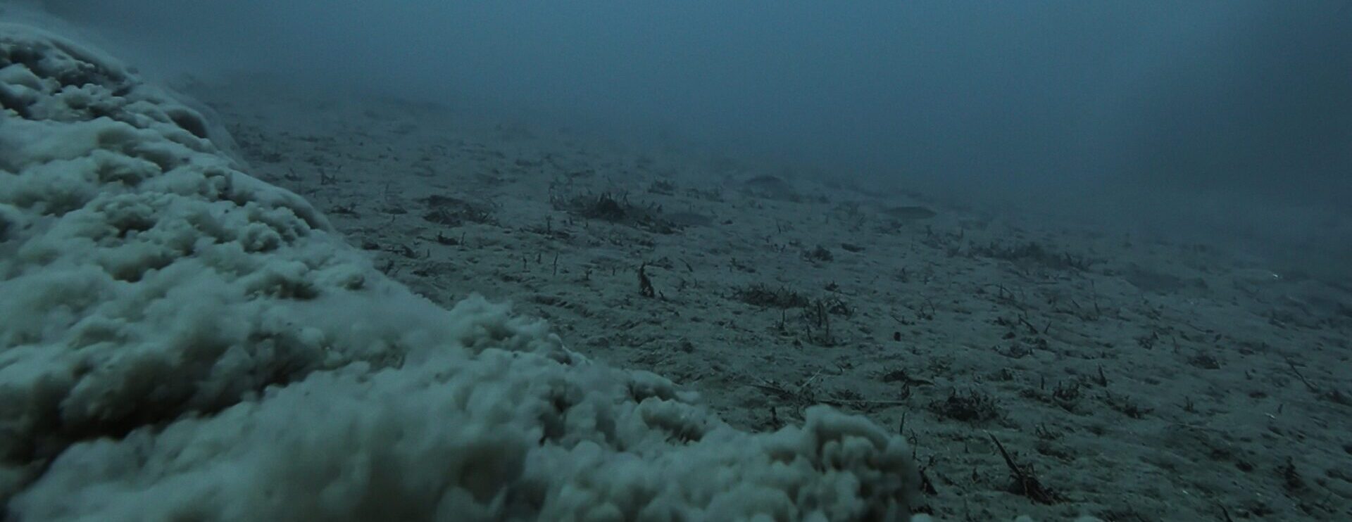 Bottom trawling net dragging through sea floor