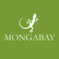 Mongabay Logo