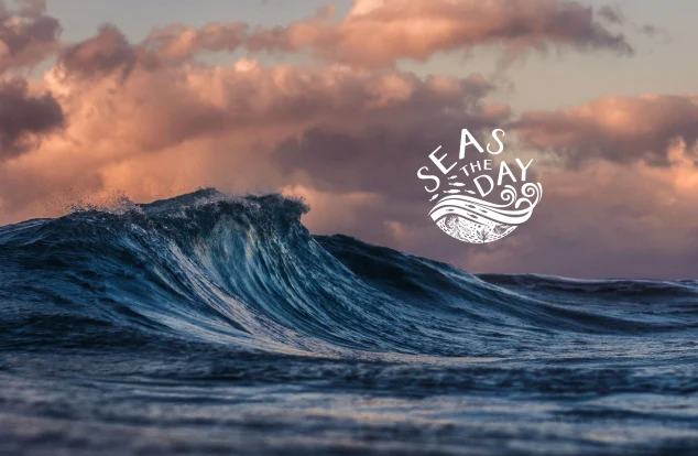 A dynamic ocean wave rises against a backdrop of soft, pinkish-orange clouds at sunset, with the phrase “Seas the Day” in decorative white lettering overlaying the sky.