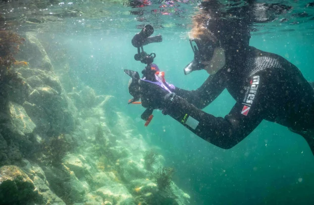 A diver in a wetsuit uses an underwater camera, capturing marine life near a rocky seafloor illuminated by sunlight.