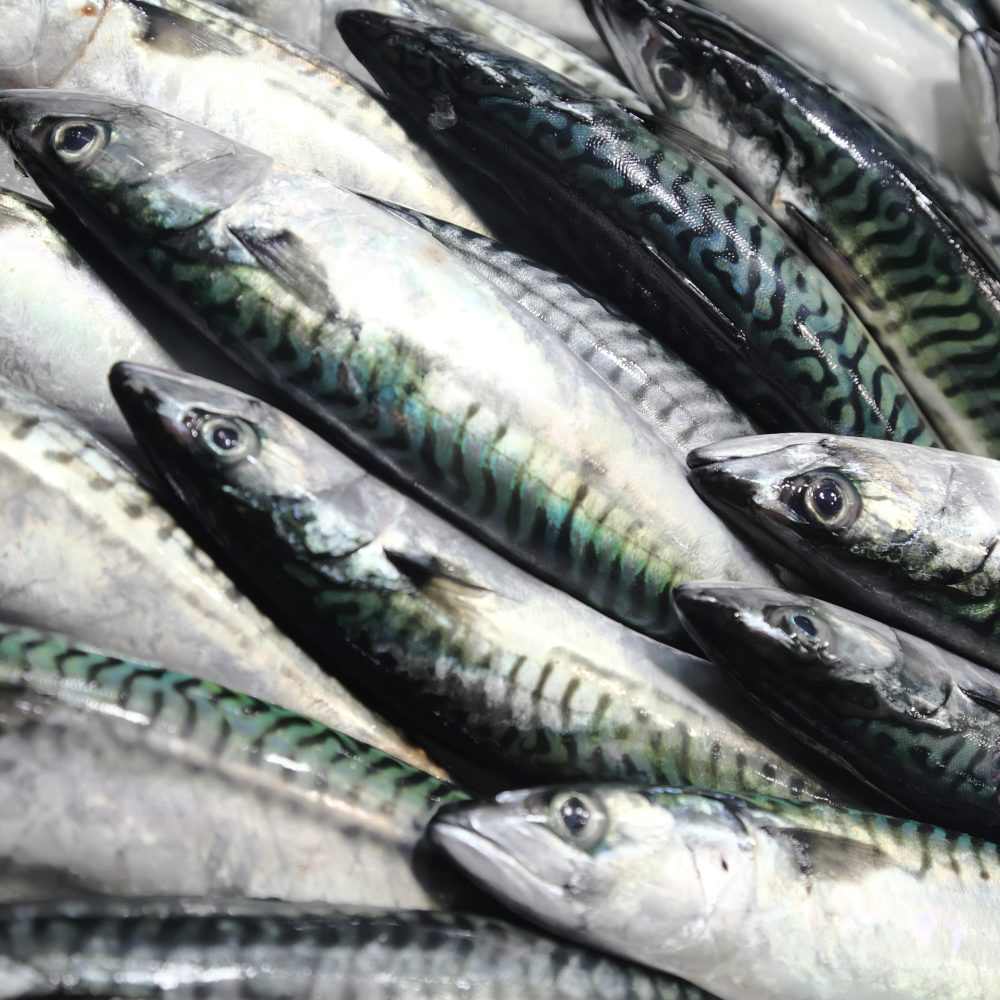 Weekly Ocean News 20 February