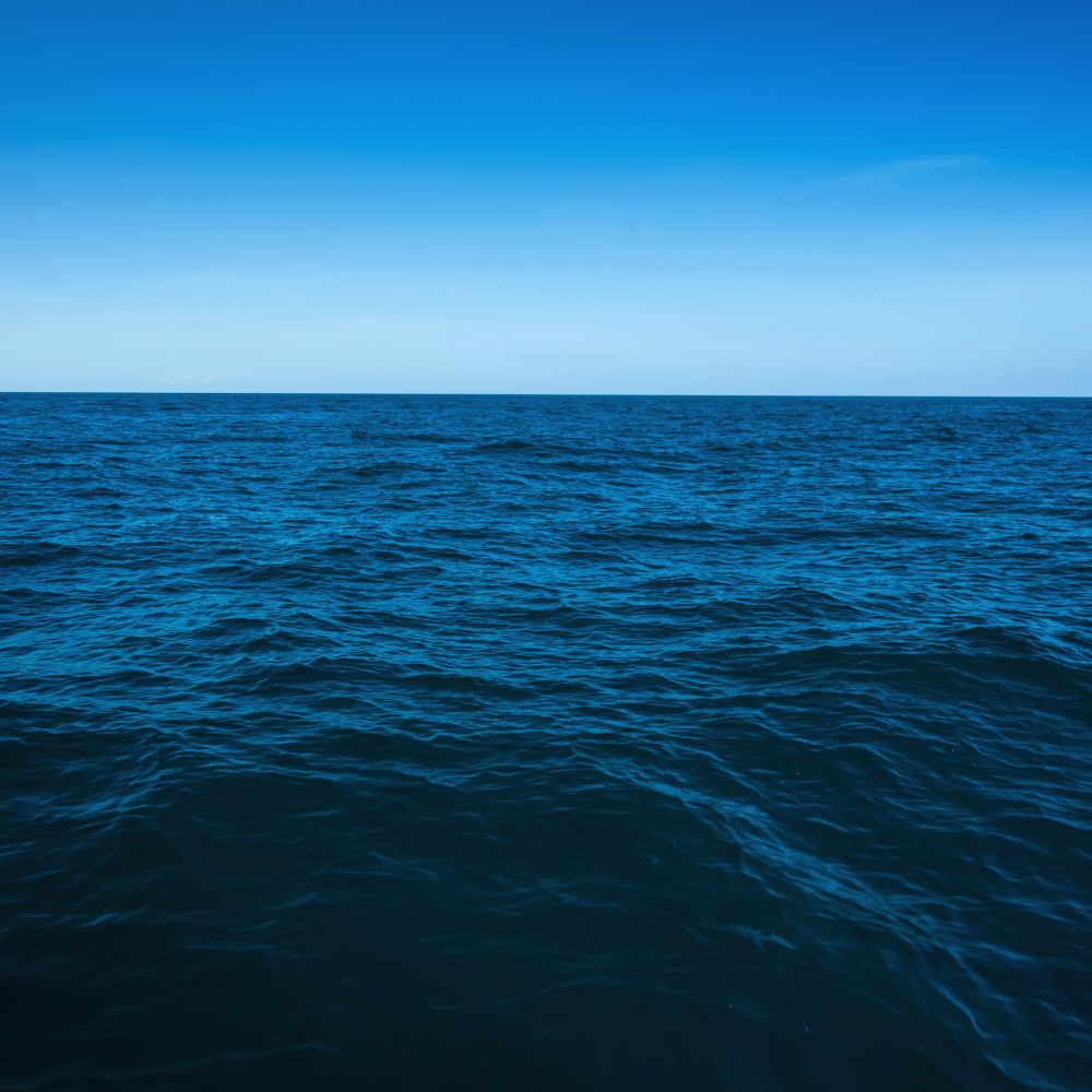 Appeal in dragnet fishing case will harm nature reserves, say ...