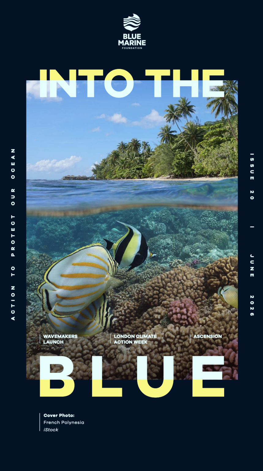 30x30 Ocean Action Plan | Blue Marine Foundation