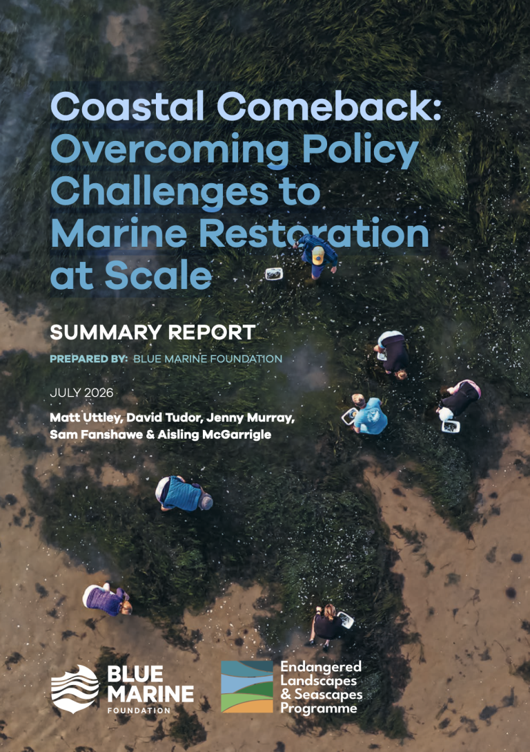 30x30 Ocean Action Plan | Blue Marine Foundation