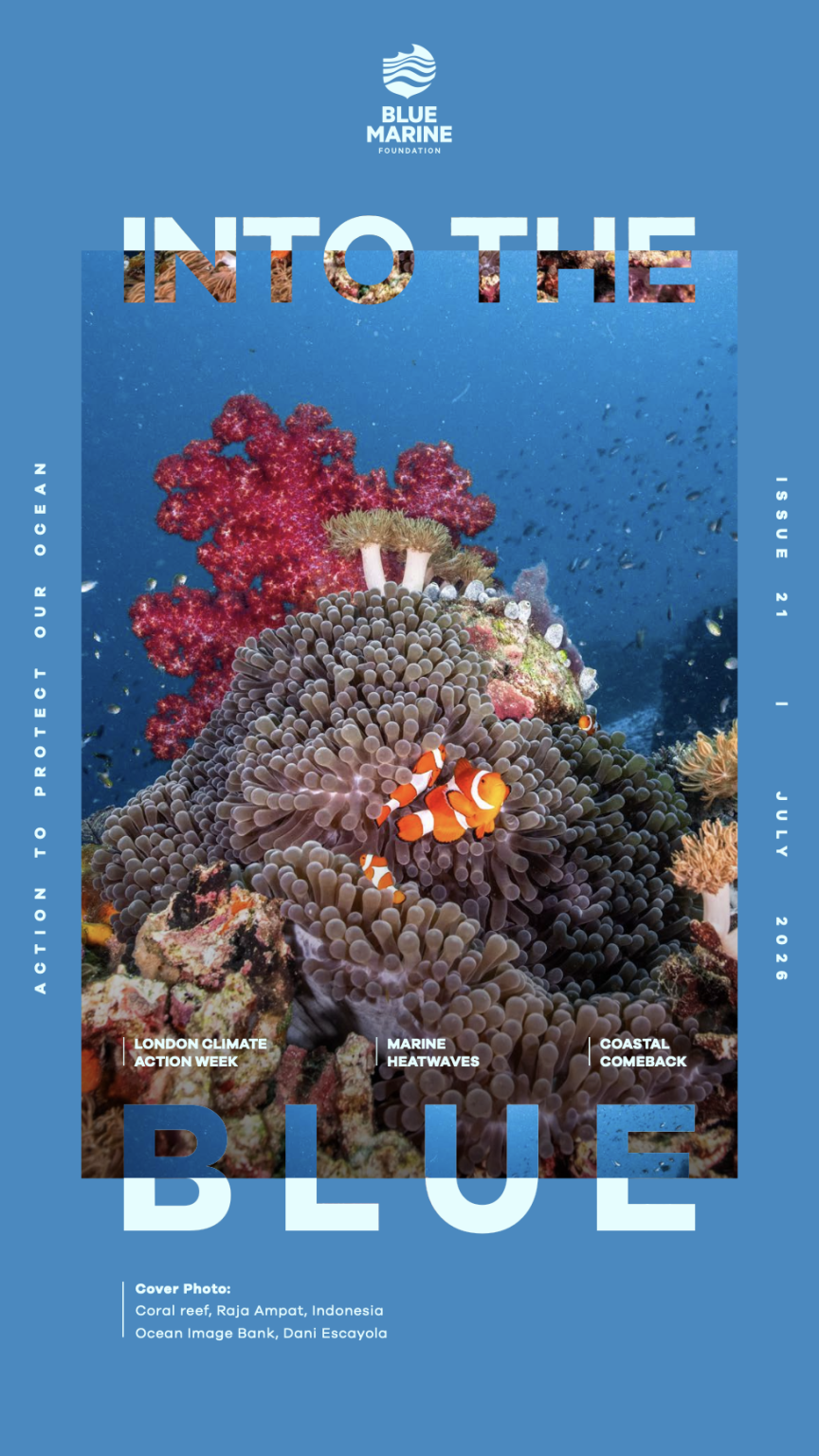 30x30 Ocean Action Plan | Blue Marine Foundation